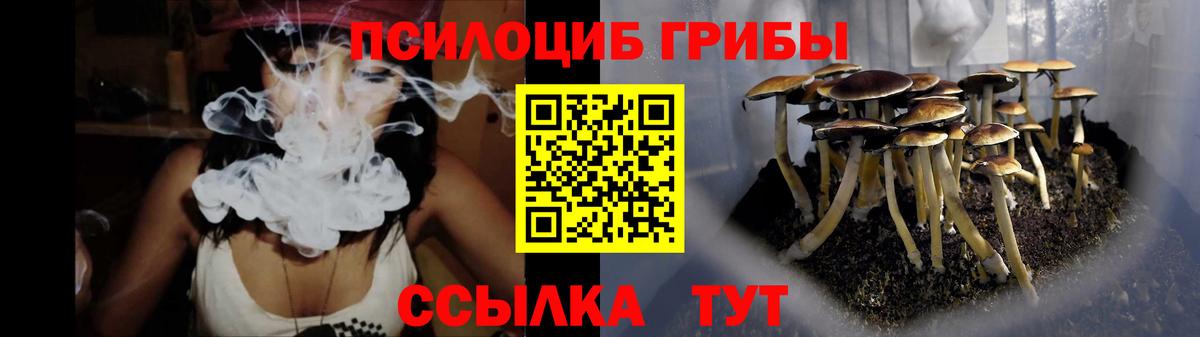 Кашира  Псилоцибиновые грибы Magic Shrooms  где купить наркотик  Галлюциногенные грибы мицелий  Вход с VPN 